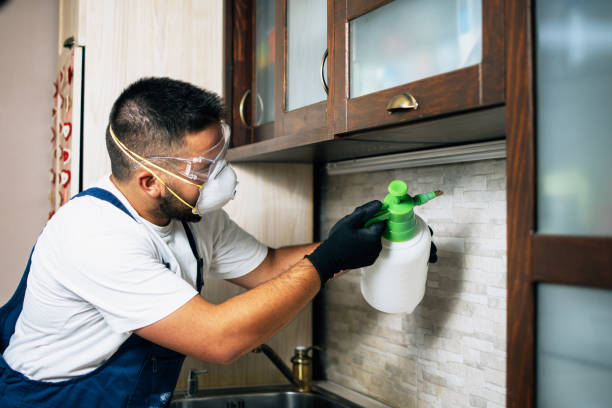 Flea Control Services in Jackson, LA