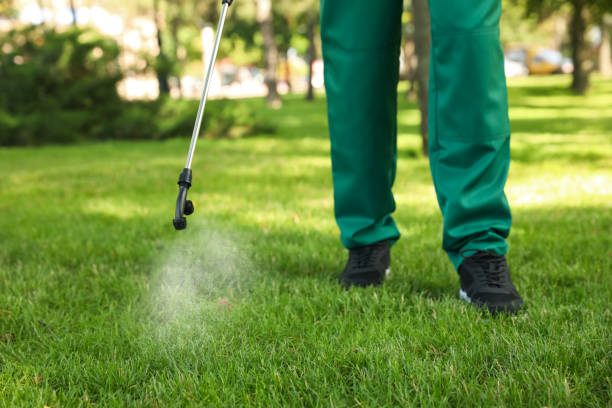 Best Wasp Removal Services  in Jackson, LA