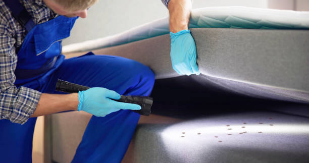 Best Residential Pest Control  in Jackson, LA