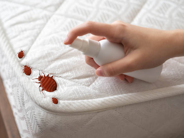Best Mosquito Control Services  in Jackson, LA